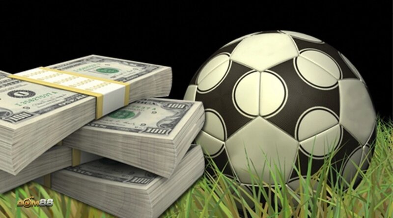 BOM88 Sports - Popular Sports and Major Competitions